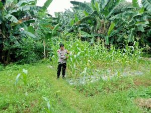 Whatsapp Image 2025 03 03 At 15.54.38