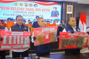 WhatsApp Image 2025 11 17 at 13.37.06