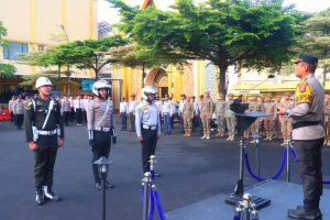 WhatsApp Image 2025 11 17 at 13.37.27