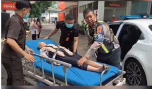 WhatsApp Image 2025 12 08 at 18.24.17 d4786f6c